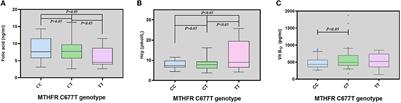 MTHFR polymorphism's influence on the clinical features and therapeutic effects in patients with migraine: An observational study